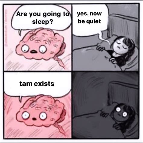 trying to sleep meme